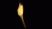Barbarian Torch