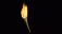 Paladin Torch